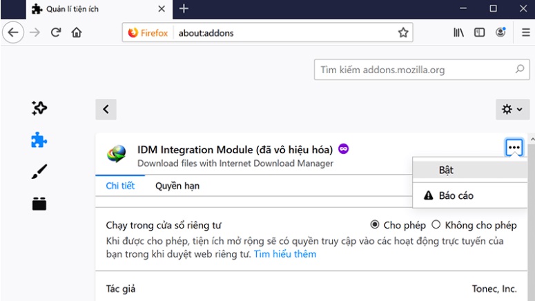 sua-loi Internet- Download- Manager -khong-tu-bat- link- Firefox