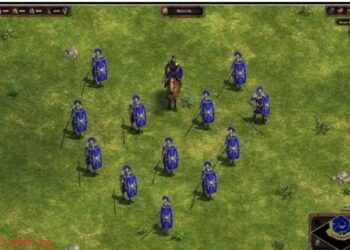 cac-loai-quan-trong-aoe-4